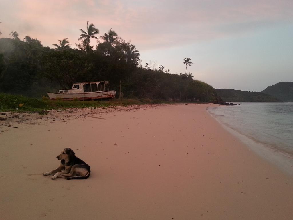 Yasawa Homestays Naisisili Eksteriør billede