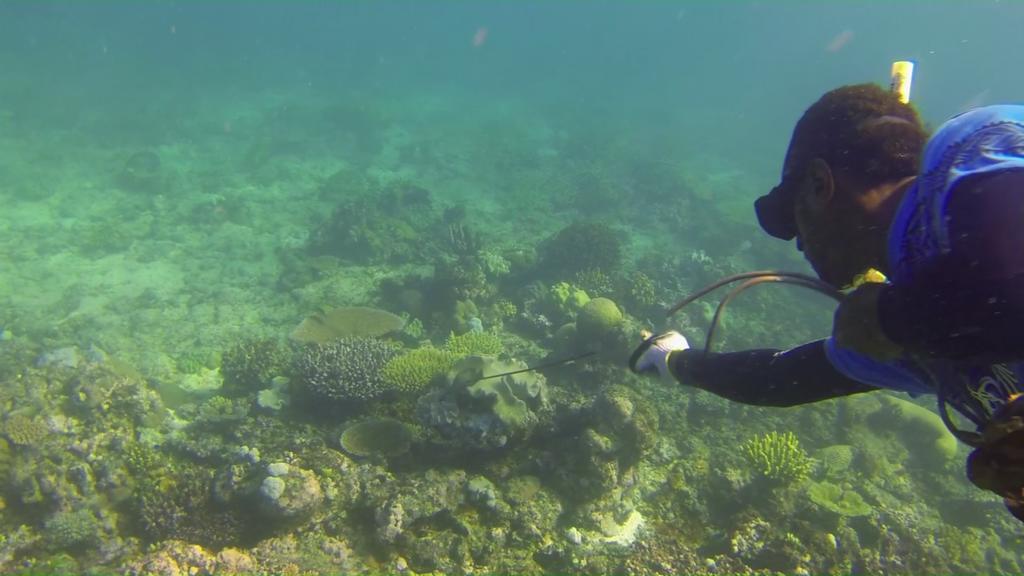 Yasawa Homestays Naisisili Eksteriør billede